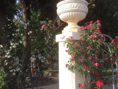 Il Giardino delle rose di Bari